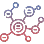 Network Mapping